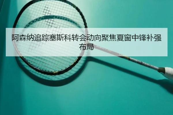阿森纳追踪塞斯科转会动向聚焦夏窗中锋补强布局